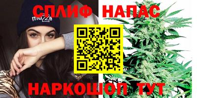 PSILOCYBIN Кумертау