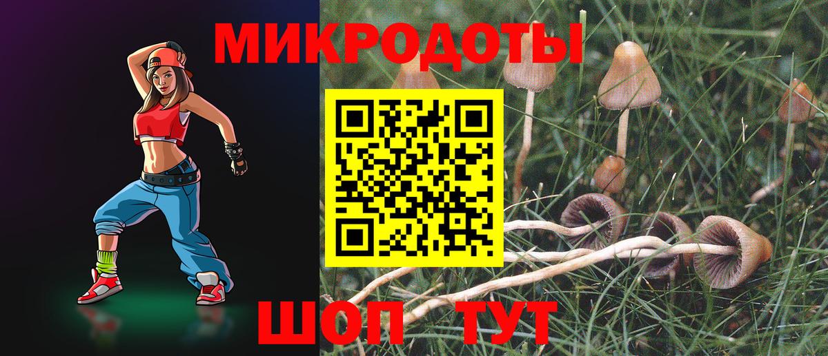 Галлюциногенные грибы Psilocybine cubensis Фурманов